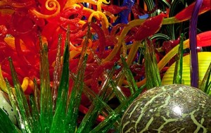 CHIHULY . Mille Fiori