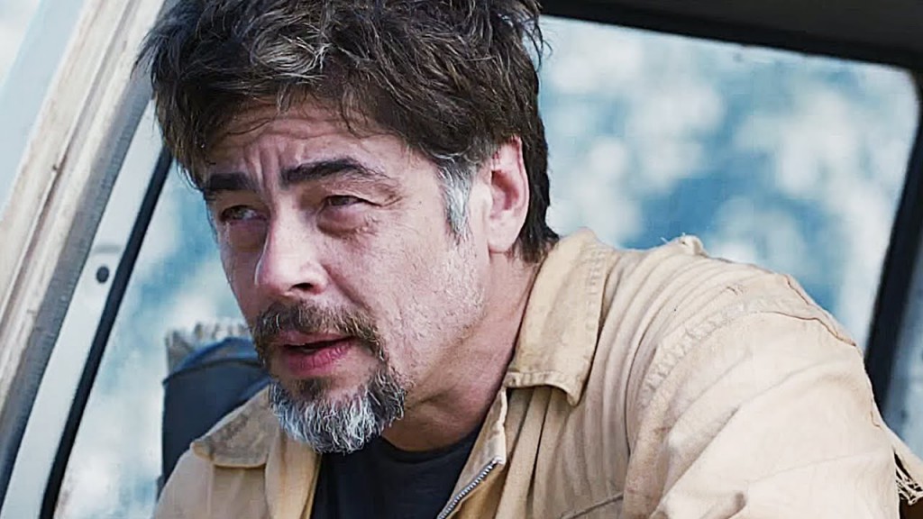 Benicio del Toro 